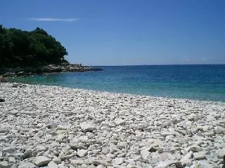 Gorana *